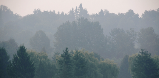 What is The Air Quality Index and How to Use it