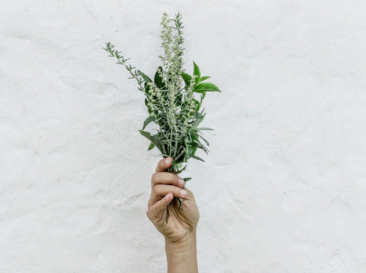 Skip Toxic Mouthwash: The Powerful Tooth and Gum Benefits of Peppermint and Rosemary