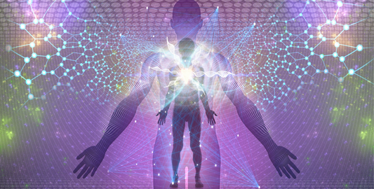 Understanding Humans as Electromagnetic Beings