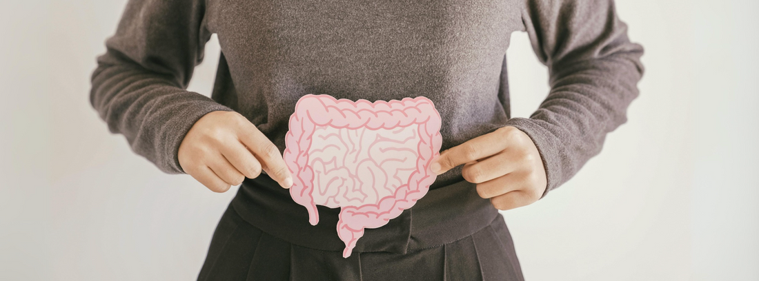 Unlock the Benefits of Digestive Enzymes