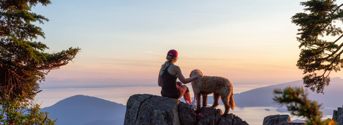 The Difference Between Immuno-Modulators and Immune Boosters