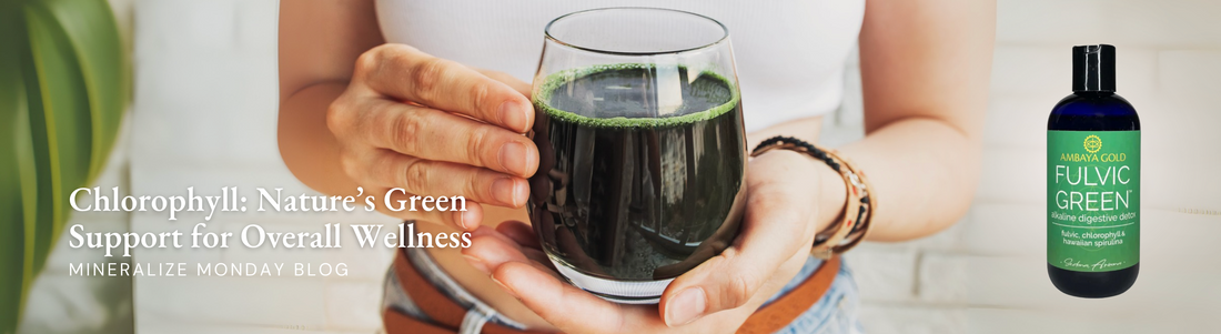 Chlorophyll: Nature’s Green Support for Overall Wellness