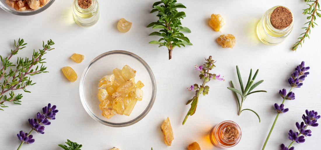 The Sacred Oils in Your Skincare: Frankincense, Geranium, Rosewood, and Lavender
