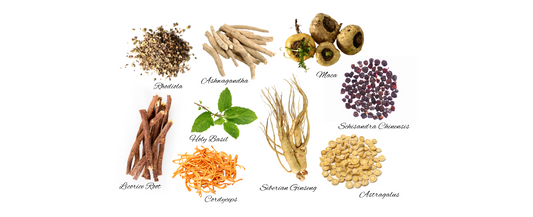 Exploring the World of Adaptogen Herbs: Nature's Stress Relievers