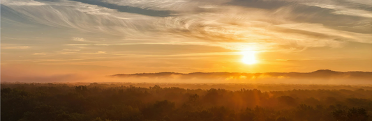 Top 10 Ayurvedic Health Practices You Can Invite Into Your Daily Routine